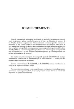Réalisation d'un schéma d'ingénierie Trés Haut Débit
