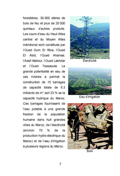Les mammiferes sauvages actuels et disparus de l'Atlas d'Azilal, Maroc