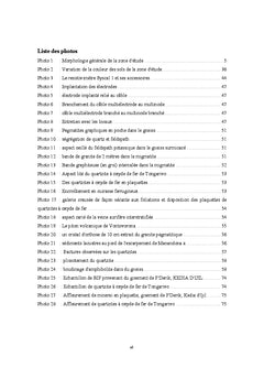 Les gîtes A oxyde de fer et or de Tongarivo