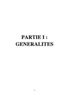 Les gîtes A oxyde de fer et or de Tongarivo