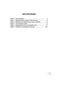 Etude de rehabilitation du perimetre irrigue d'Alasora