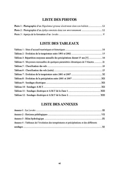 Elaboration d'un modele hydrogeologique de la plaine du lac Alaotra