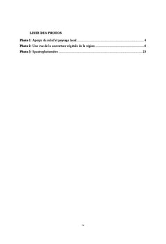Etude de la potentialite en mineralisation aurifere d'ambohimiarina