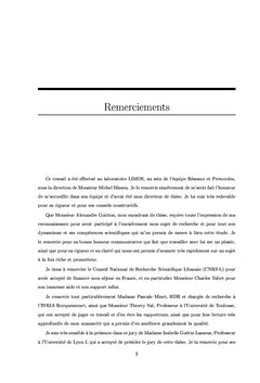 Cross-layering et routage dans un reseau ad hoc