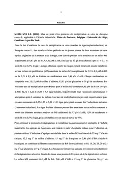 Micropropagation in vitro de Jatropha curcas L.