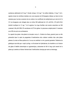 Micropropagation in vitro de Jatropha curcas L.