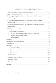 Valorisation du lignite dans le bassin d'Antsirabe