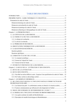 Decrochage scolaire - Strategies de reussite en environnement precaire