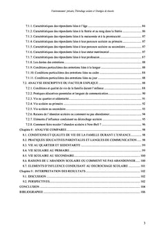 Decrochage scolaire - Strategies de reussite en environnement precaire