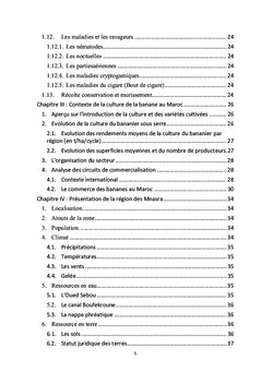 Etude technico economique d'exploitations bananieres au Gharb/Maroc