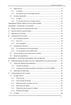 Analyse - diagnostic d'ouvrages hydrauliques réalisés sur le Baobolong
