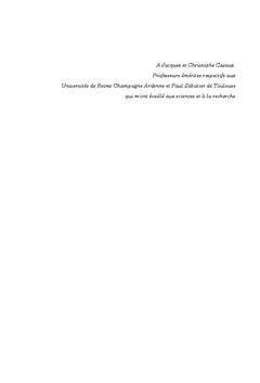 Procede LCM innovant pour l'elaboration de composites thermoplastiques
