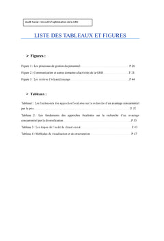 Audit social : Outil d'optimisation de la GRH Cas de CHU IBN ROCH