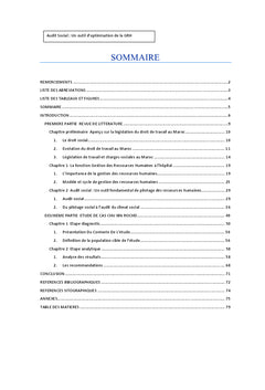 Audit social : Outil d'optimisation de la GRH Cas de CHU IBN ROCH