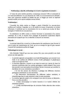 Etude geologique et mineralogique du gisement aurifere de Tirek: Hoggar