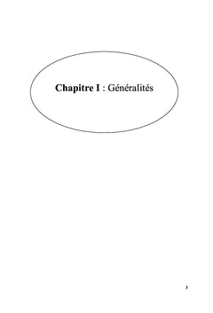 Etude geologique et mineralogique du gisement aurifere de Tirek: Hoggar