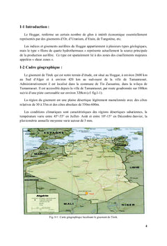 Etude geologique et mineralogique du gisement aurifere de Tirek: Hoggar