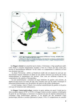Etude geologique et mineralogique du gisement aurifere de Tirek: Hoggar
