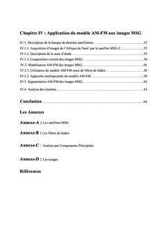 Segmentation d'images par modèles AM-FM