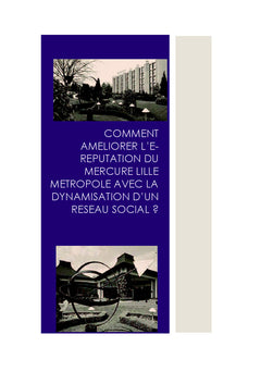 L'e-reputation d'un hôtel avec la dynamisation d'un réseau social