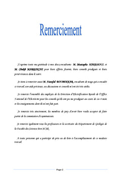 Etude SIG pour l'electrification rurale au Maroc