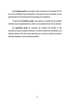 L'Intelligence economique au sein des eTI