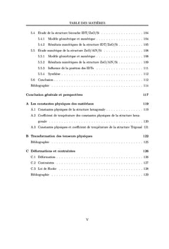 Etude numerique et experimentale de dispositifs electroacoustiques