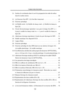 Etude numerique et experimentale de dispositifs electroacoustiques