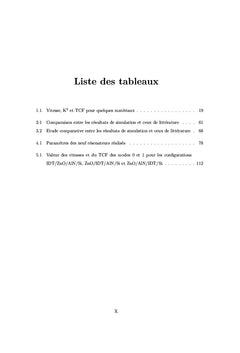 Etude numerique et experimentale de dispositifs electroacoustiques