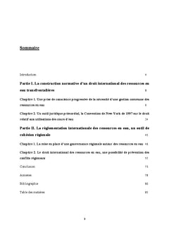 La gestion des cours d'eau internationaux