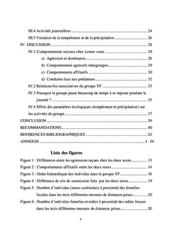 Etude comportementale et reseau social chez Lemur catta