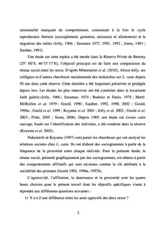 Etude comportementale et reseau social chez Lemur catta