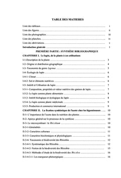 Contribution à l'étude de la symbiose racinaire