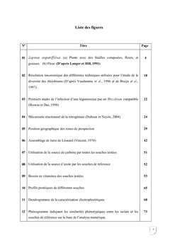 Contribution à l'étude de la symbiose racinaire