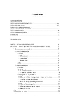 Impacts negatifs sur la qualite du grain de riz