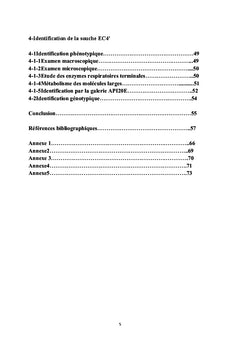 Etude des cellulases chez une bacterie isolee d'ecorce de l'olivier