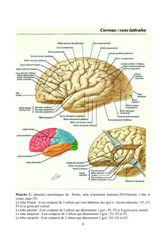 Gangliogliome desmoplasique infantile