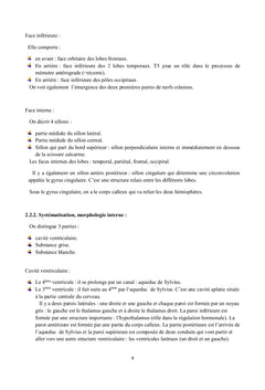 Gangliogliome desmoplasique infantile