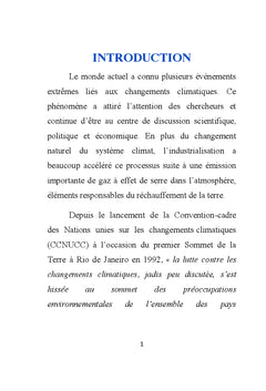 Instruments economiques dans la lutte contre le changement climatique