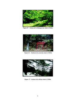 Écologie et taxonomie des carabes du Parc National de Chréa (Algérie)