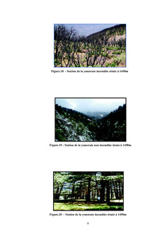 Écologie et taxonomie des carabes du Parc National de Chréa (Algérie)
