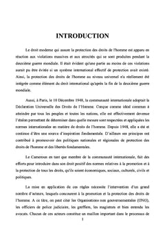L'avocat et la protection des droits de l'homme au Cameroun