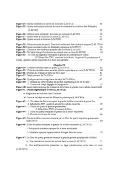 Pétrographie et minéralisations associées de la coupole granitique