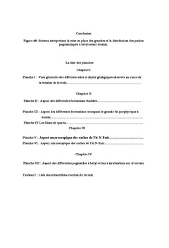 Pétrographie et minéralisations associées de la coupole granitique