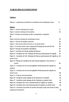 Précis d'anesthésies loco-régionales chez les bovins