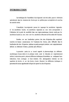 Précis d'anesthésies loco-régionales chez les bovins