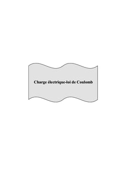 Electrocinetique Tome I