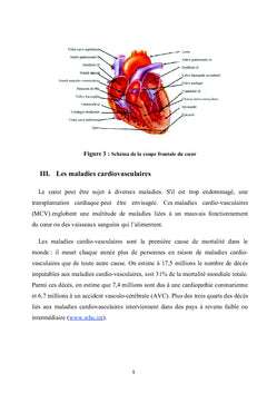 Cardiologie : Examens clinique et hormonale