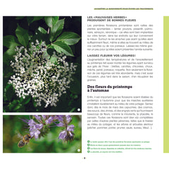 Mon potager sans déchets