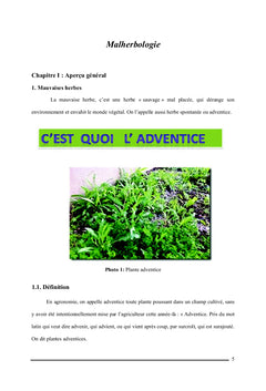Plante adventice